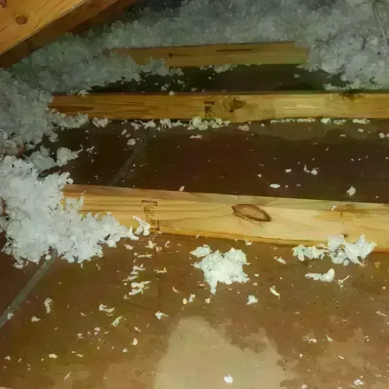 Attic Water Damage in Kiefer, OK