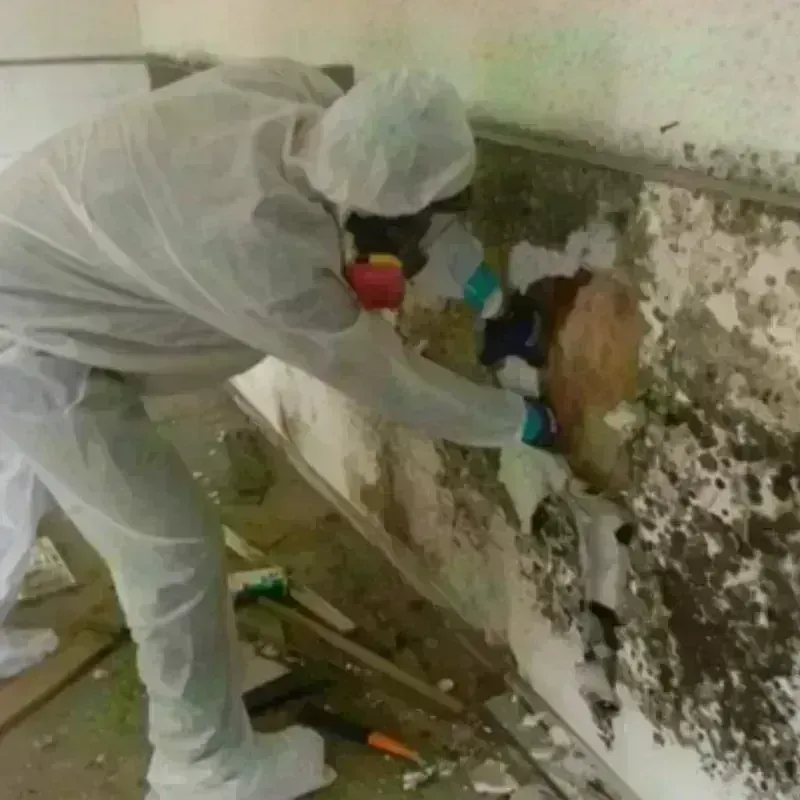 Mold Remediation and Removal in Kiefer, OK