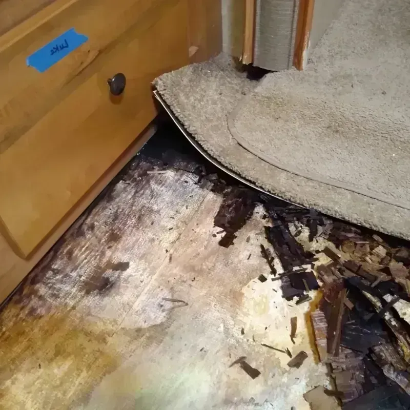 Best Wood Floor Water Damage Service in Kiefer, OK